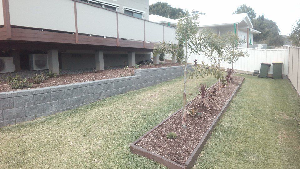 A Lush Green Yard With a Tree in the Middle of It — Seascapes Landscape Construction in Kendall, NSW