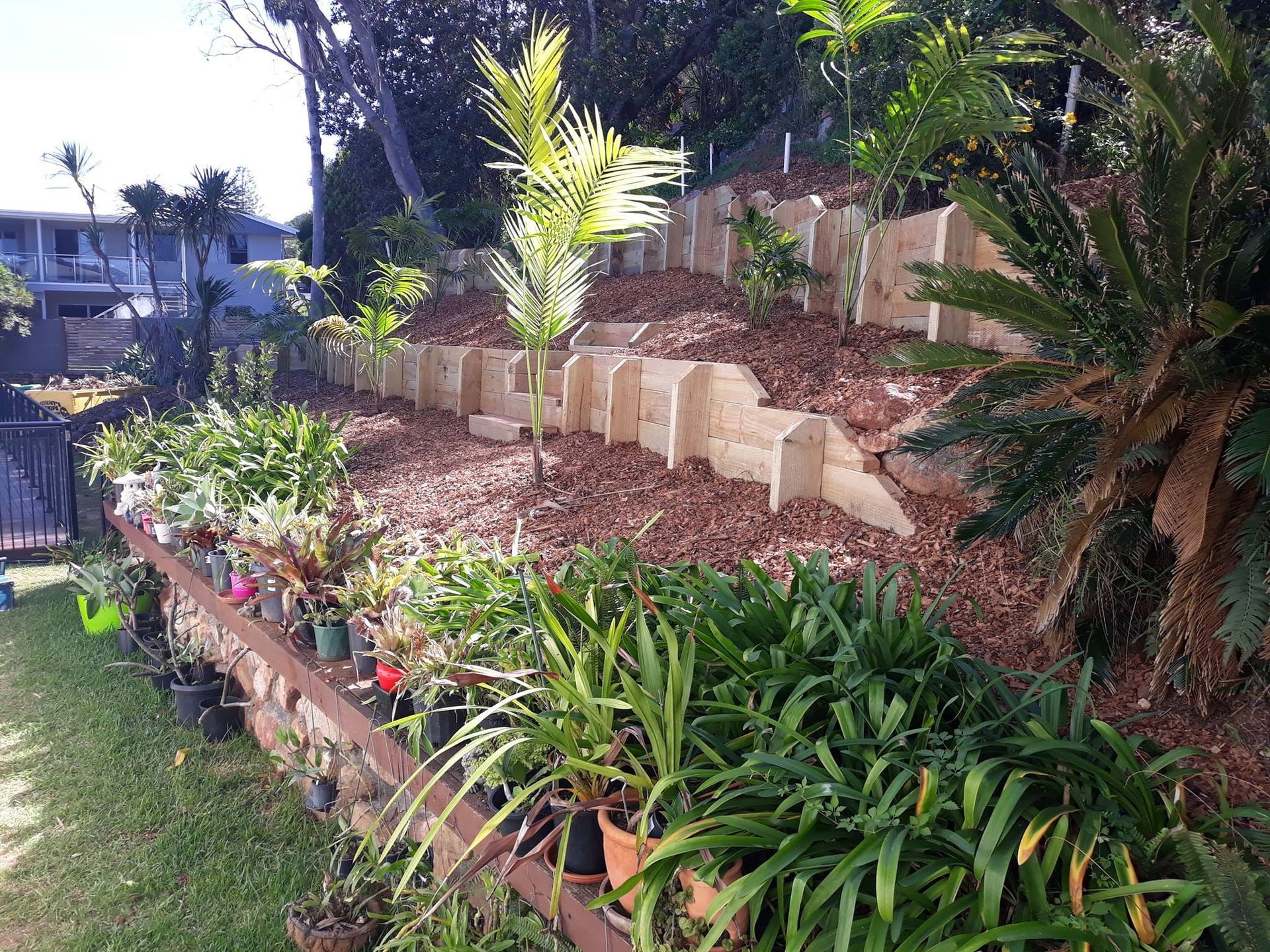A Garden Filled With Lots of Potted Plants and Trees — Seascapes Landscape Construction in Kendall, NSW