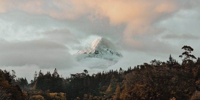 Snow-capped mountain above a dark forest under a pastel cloudy sky
