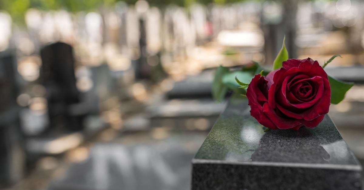 Red rose on a gravestone in a cemetery, with blurred headstones in the background.