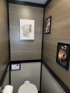Luxury bathroom for parties