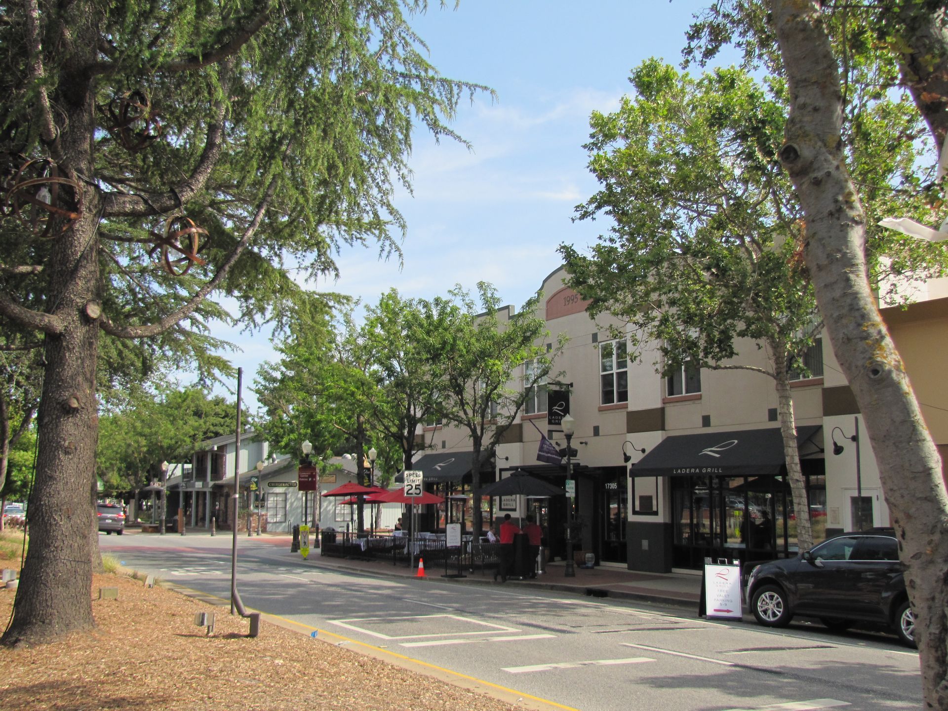 A city street with a lot of trees and buildings
