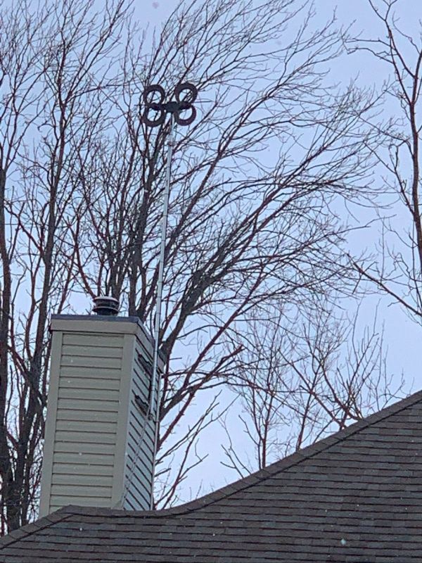 Chimney with decorative weather vane, set against bare tree branches and a pale sky.