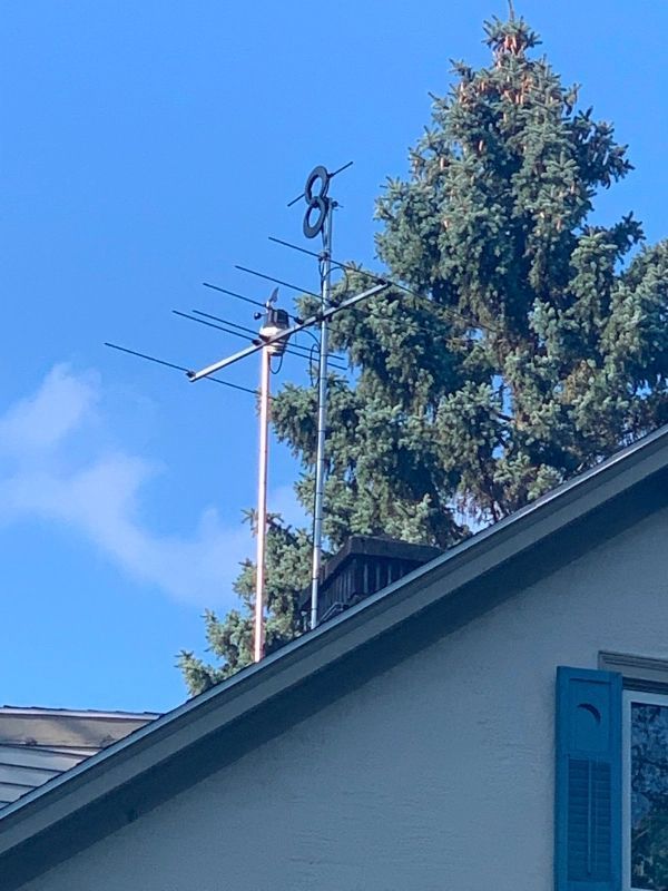 TV antenna on a rooftop with a tall evergreen tree against a blue sky.