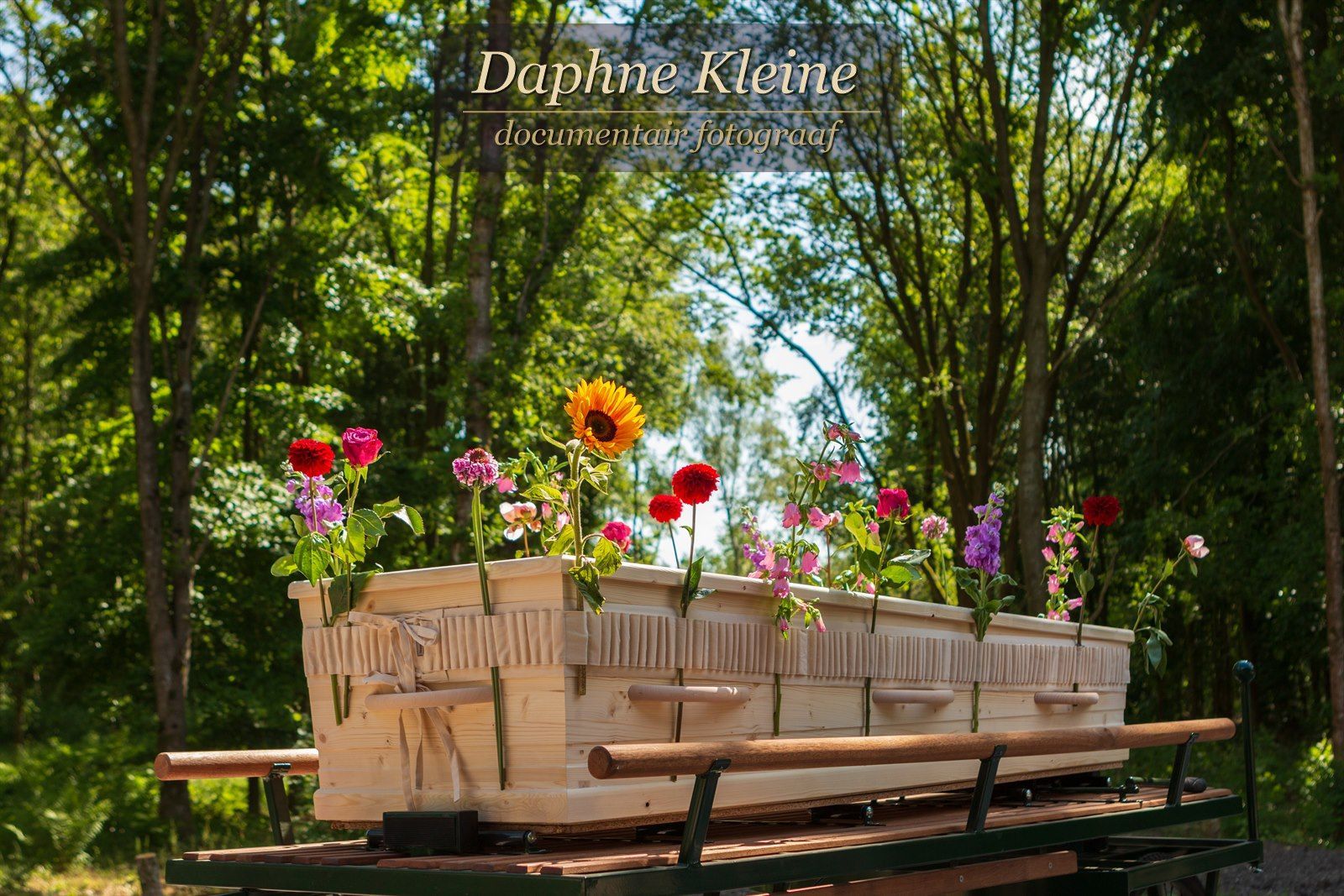 Lichte houten kist met veldbloemen op een baarwagen in het bos, met de naam van fotograaf Daphne Kleine in beeld
