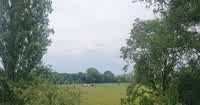 Uitvaart regelen in de provincie Limburg