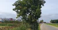 Crematie regelen in Súdwest-Fryslân