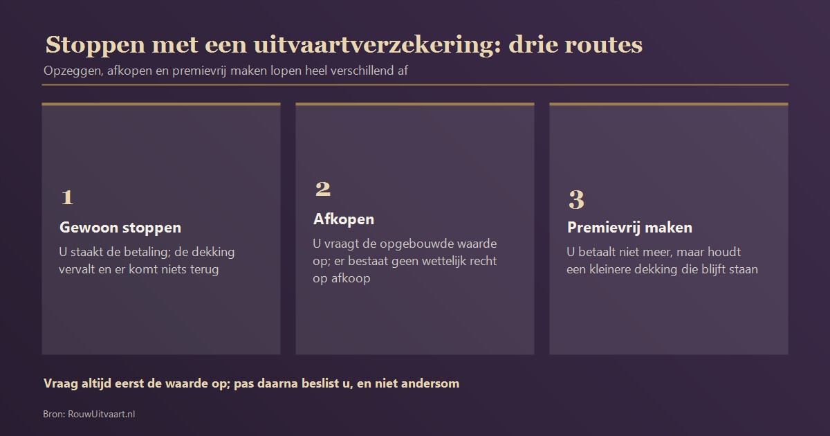 Wat er met de oude polis kan gebeuren: gewoon stoppen, afkopen of premievrij maken