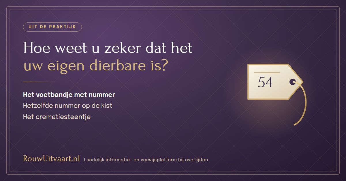 Paarse kaart: hoe weet u zeker dat het uw eigen dierbare is