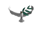 Vliegende vogel animatie - RouwUitvaart.nl