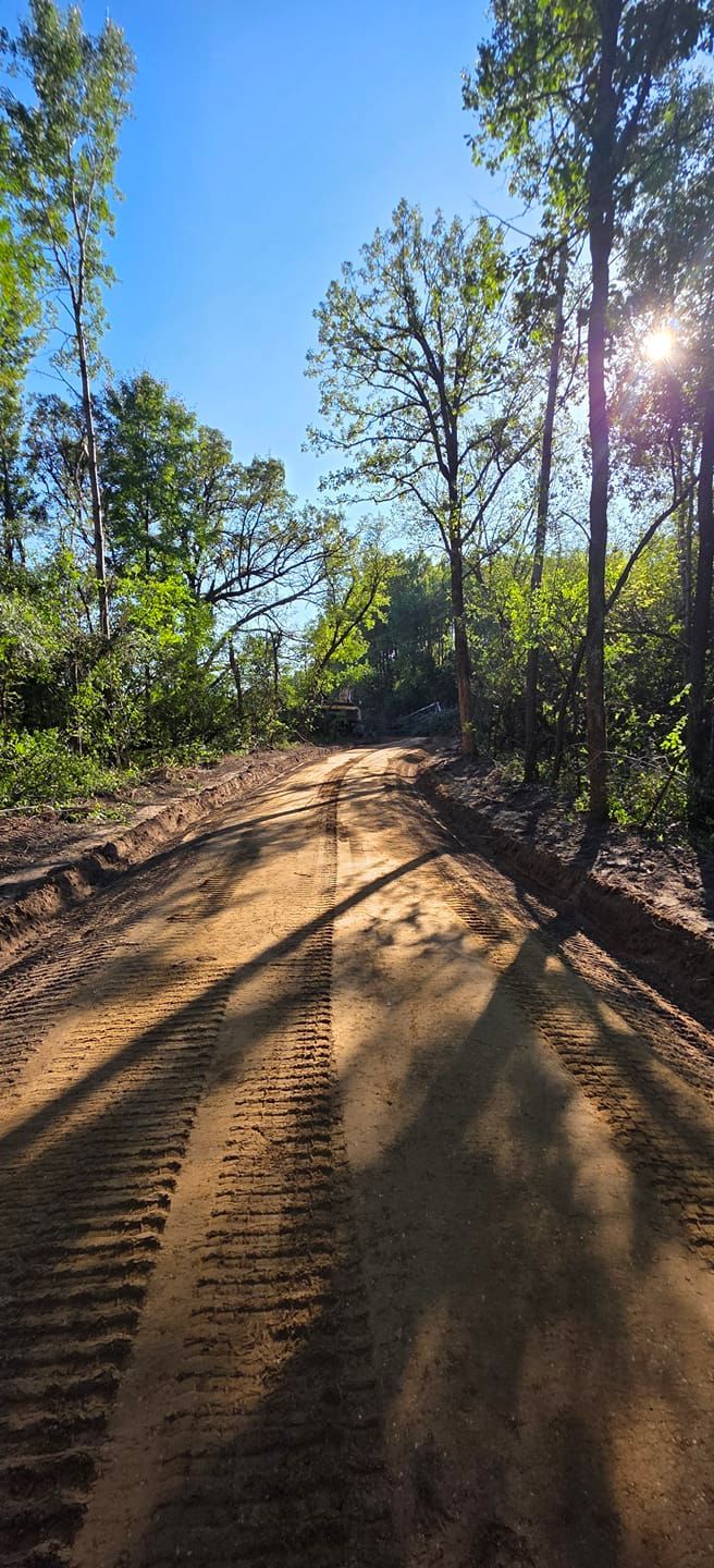 A dirt trail with tire tracks winds through a sunlit forest under a clear blue sky.