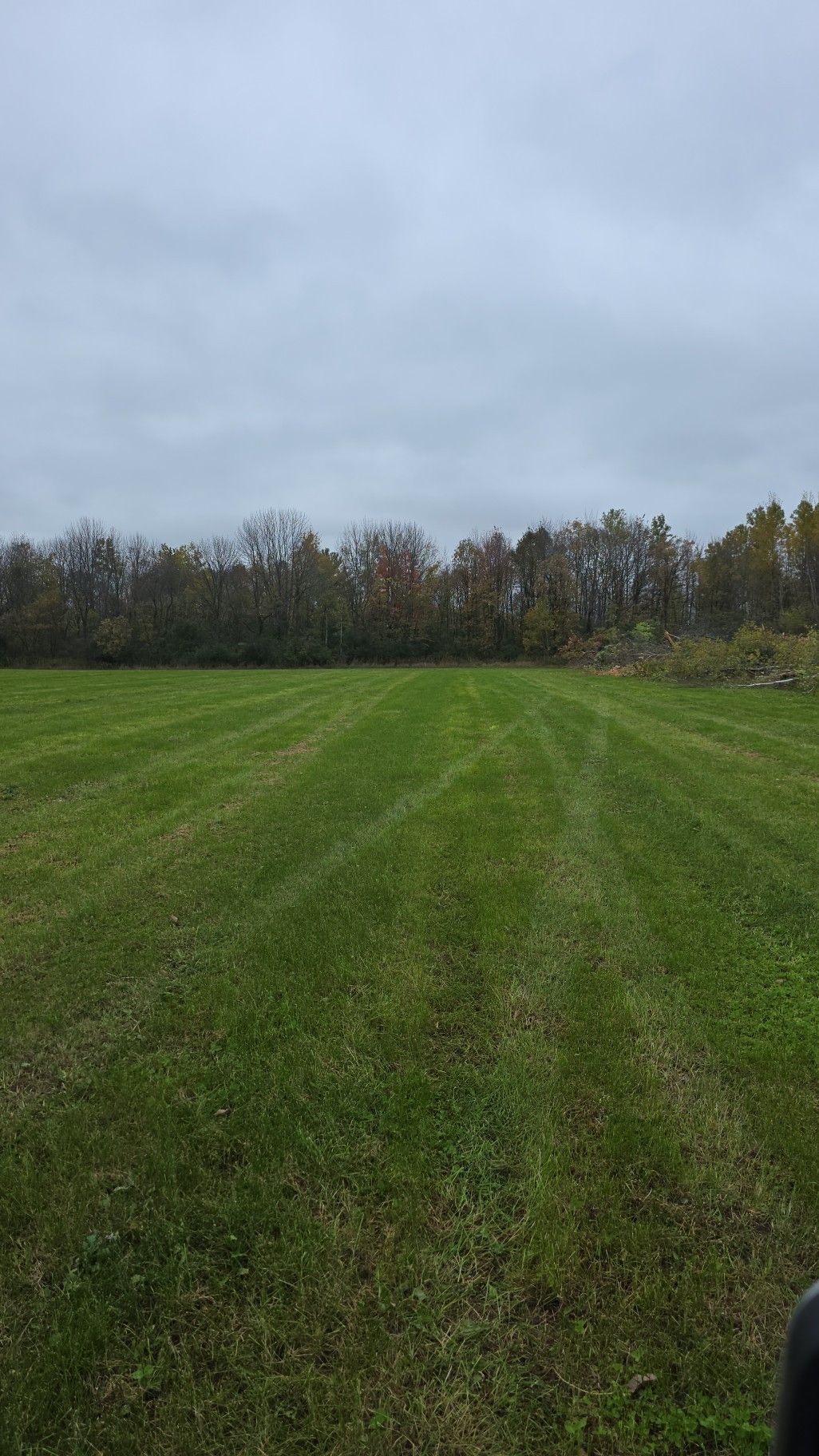 A wide field of freshly mown grass leads toward a line of autumn trees under a cloudy, overcast sky.