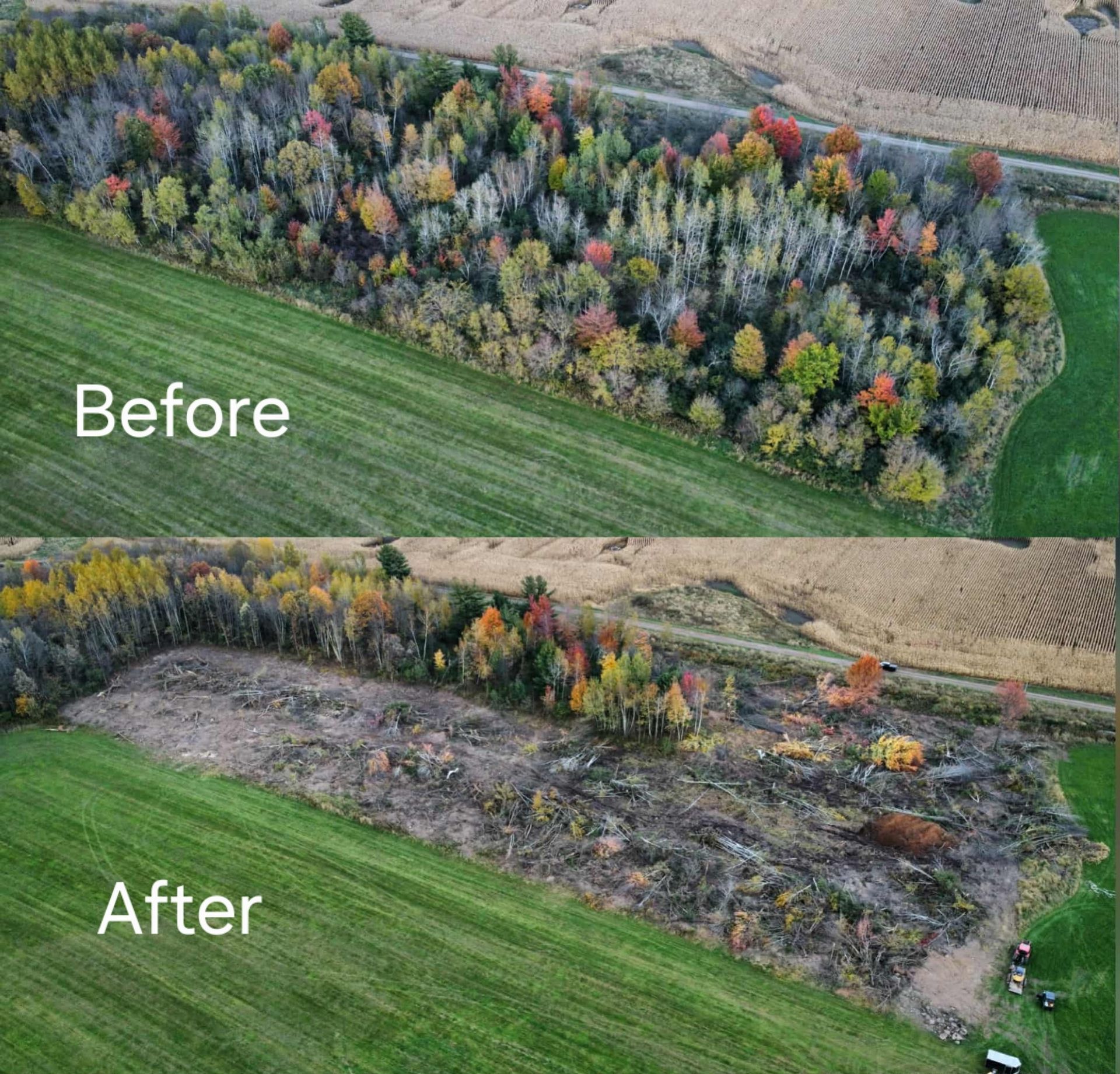 Aerial before-and-after showing a colorful autumn forest partially cleared into a brown, barren field.