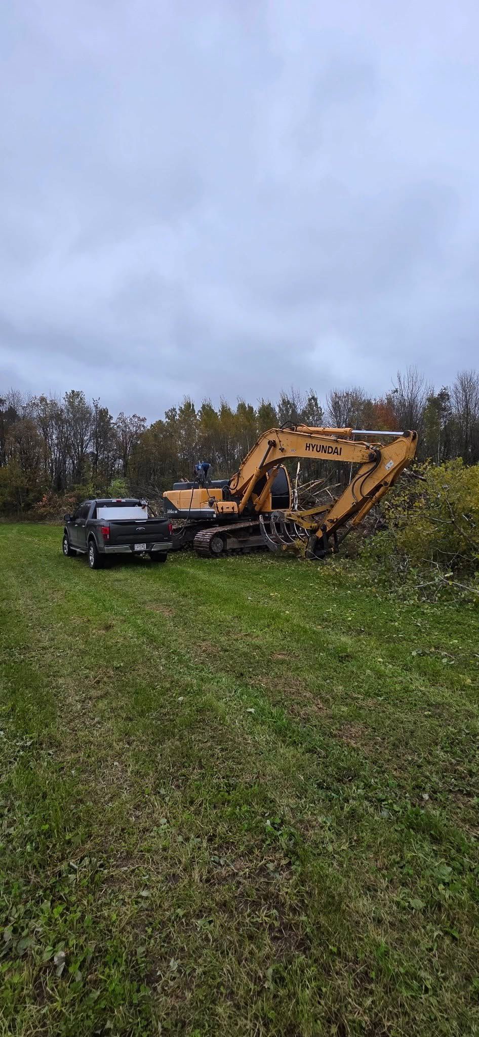 A yellow excavator sits in a grassy field next to a dark pickup truck, with a line of trees in the background.