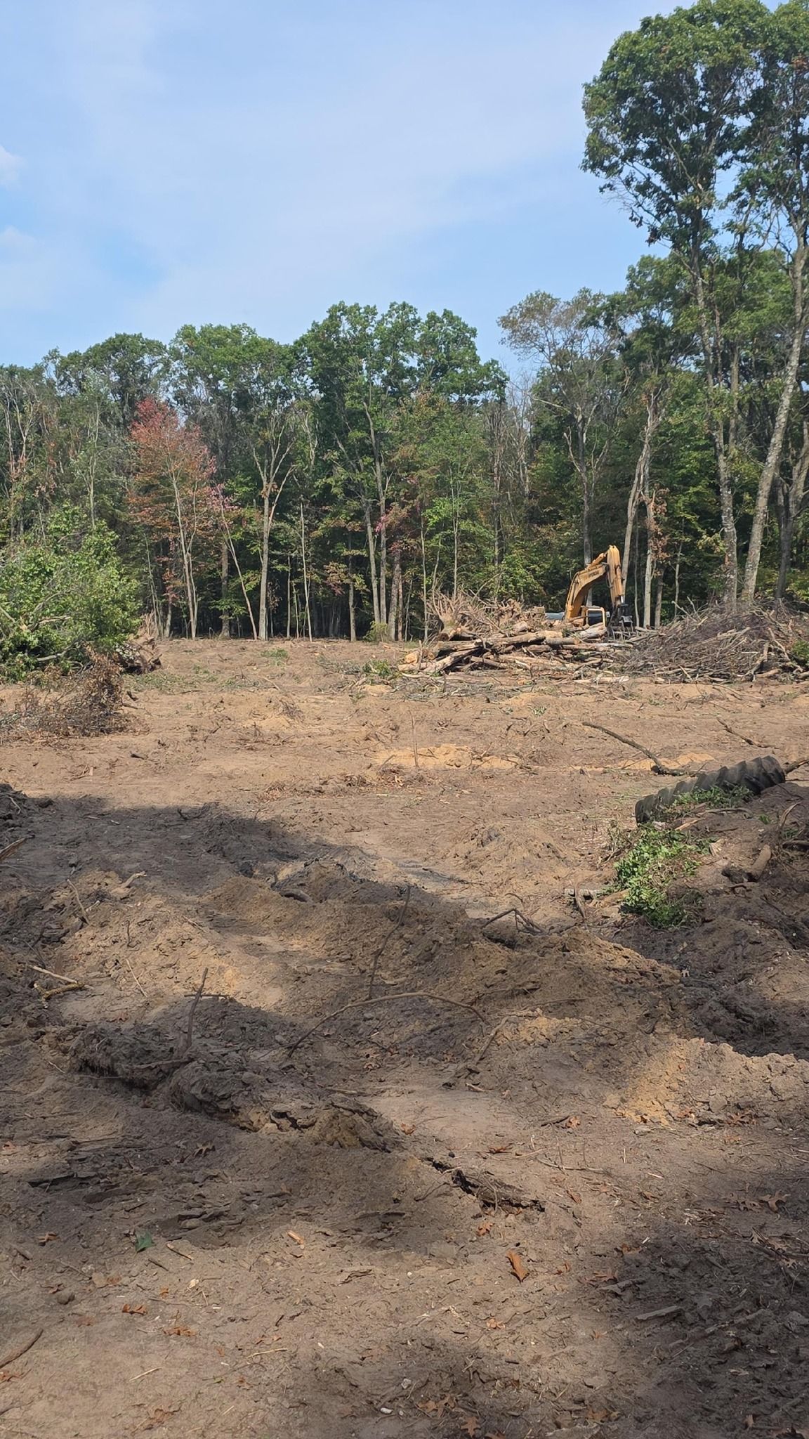 Clearing of a wooded lot with bare, turned earth in the foreground and heavy equipment visible near the remaining trees.