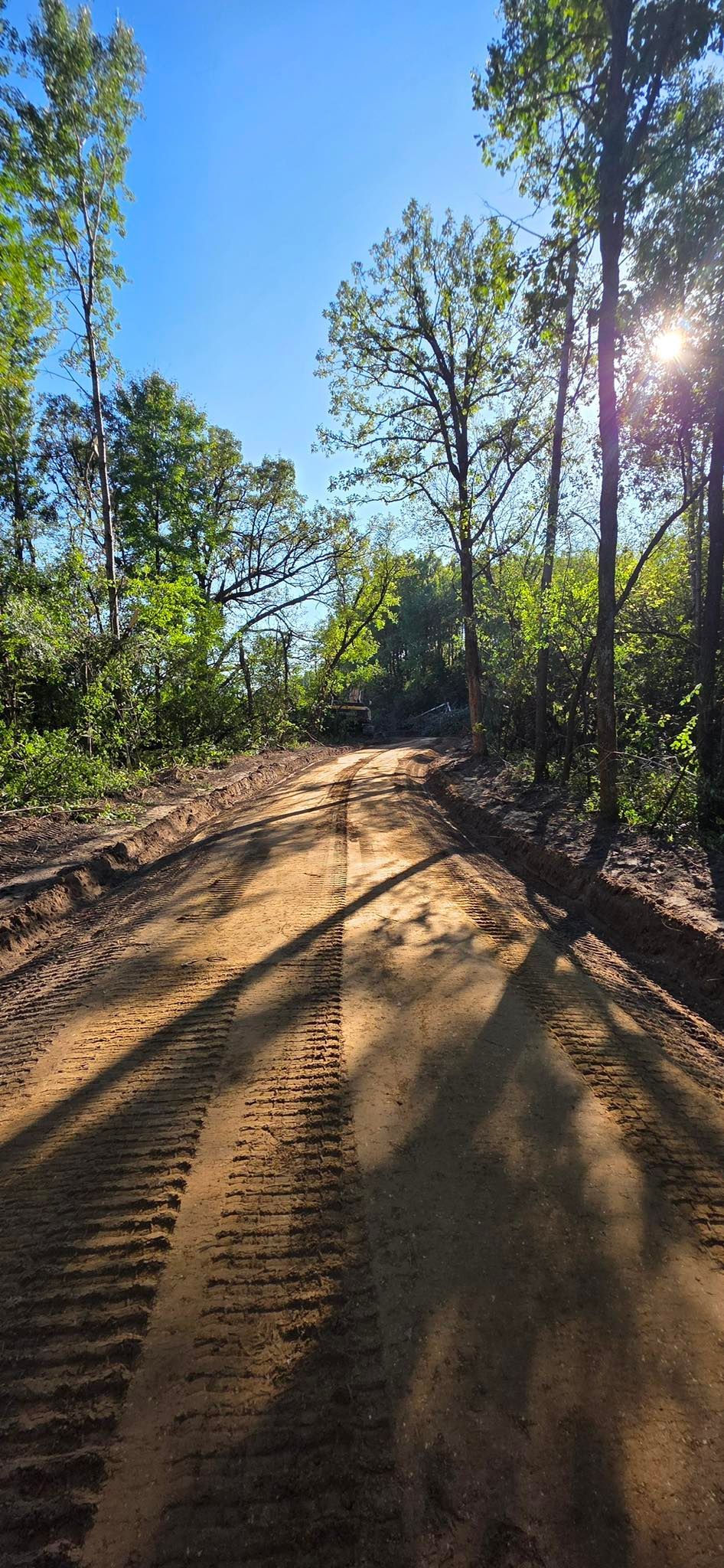 A dirt path with tire tracks leads through a lush, sunny forest under a clear blue sky.