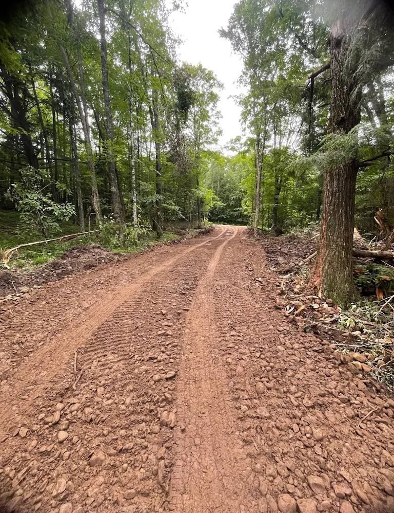 A dirt road carved through a dense green forest, featuring two distinct tire tracks in the reddish, rocky soil.
