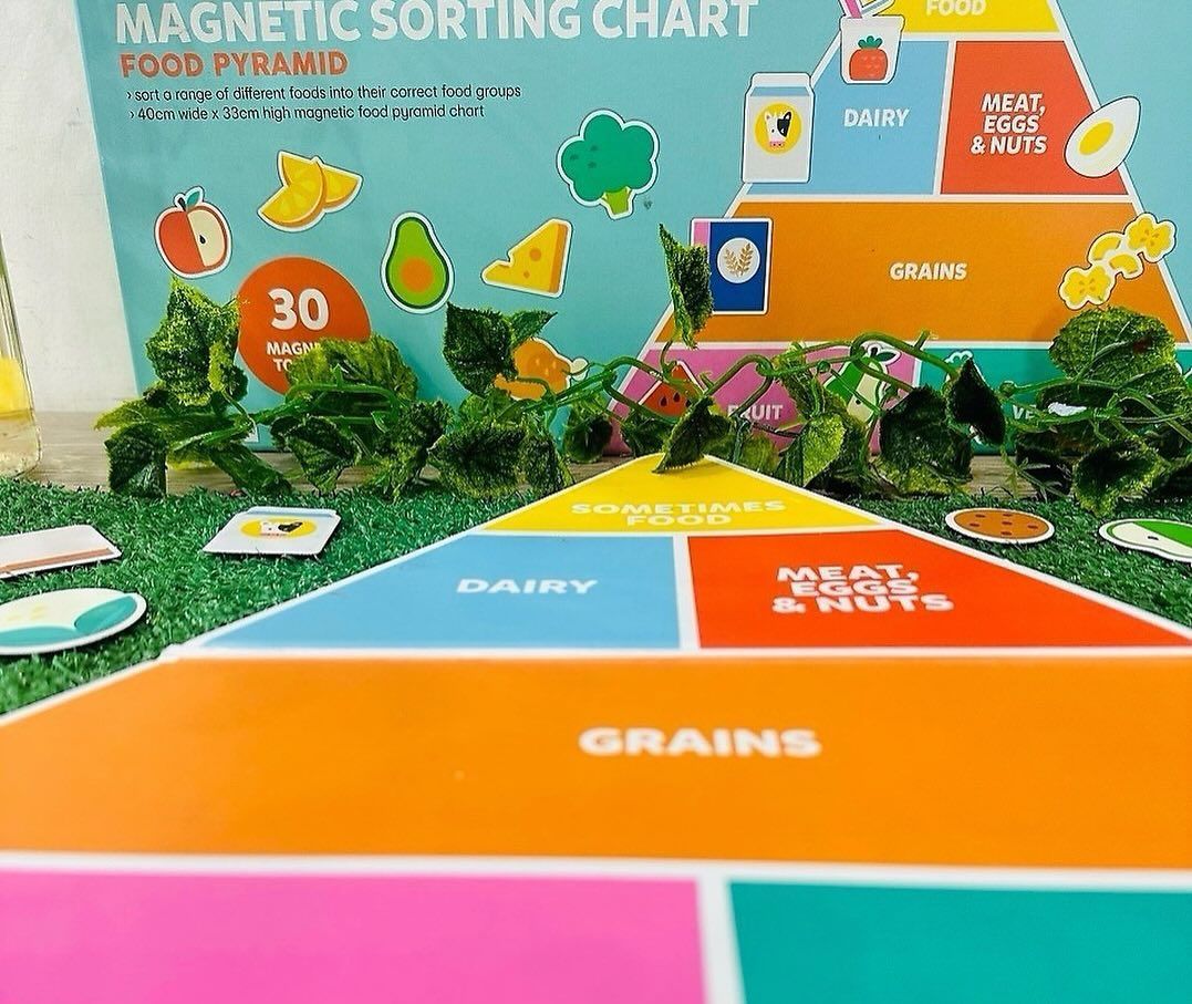 A magnetic food pyramid sorting chart with colorful sections for grains, dairy, meats, and other food groups.