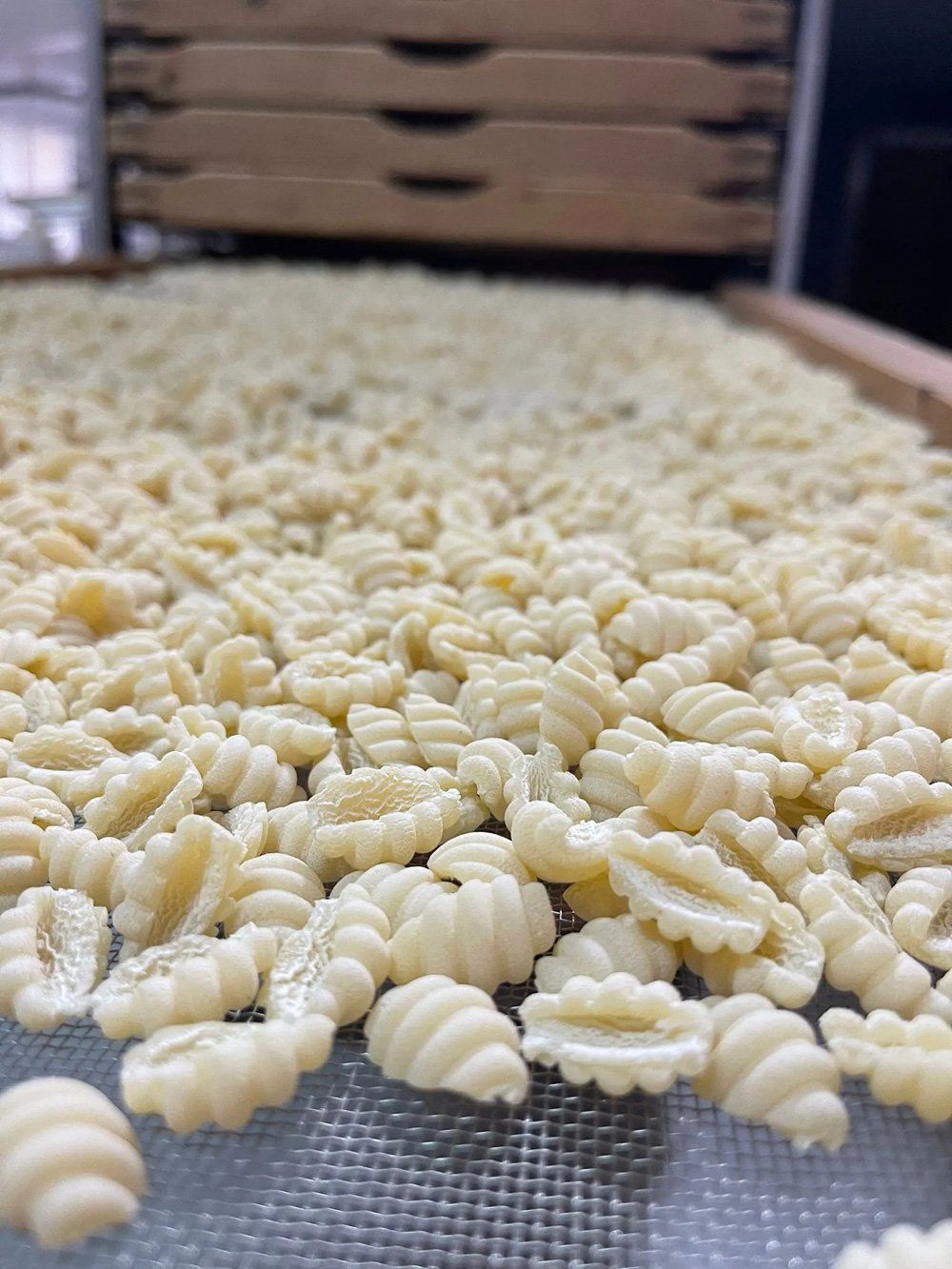 Gnocco sardo artigianale