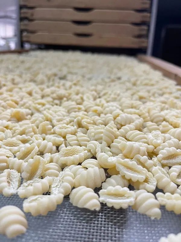 Vassoio di pasta rigata cruda sparsa su un nastro trasportatore in una linea di produzione alimentare