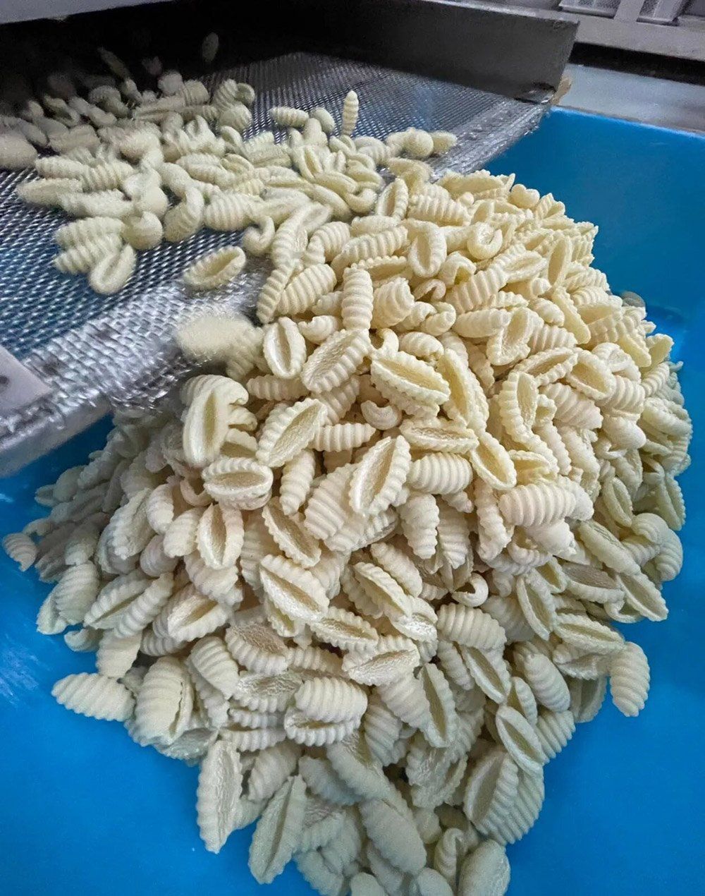 Gnocco sardo artigianale