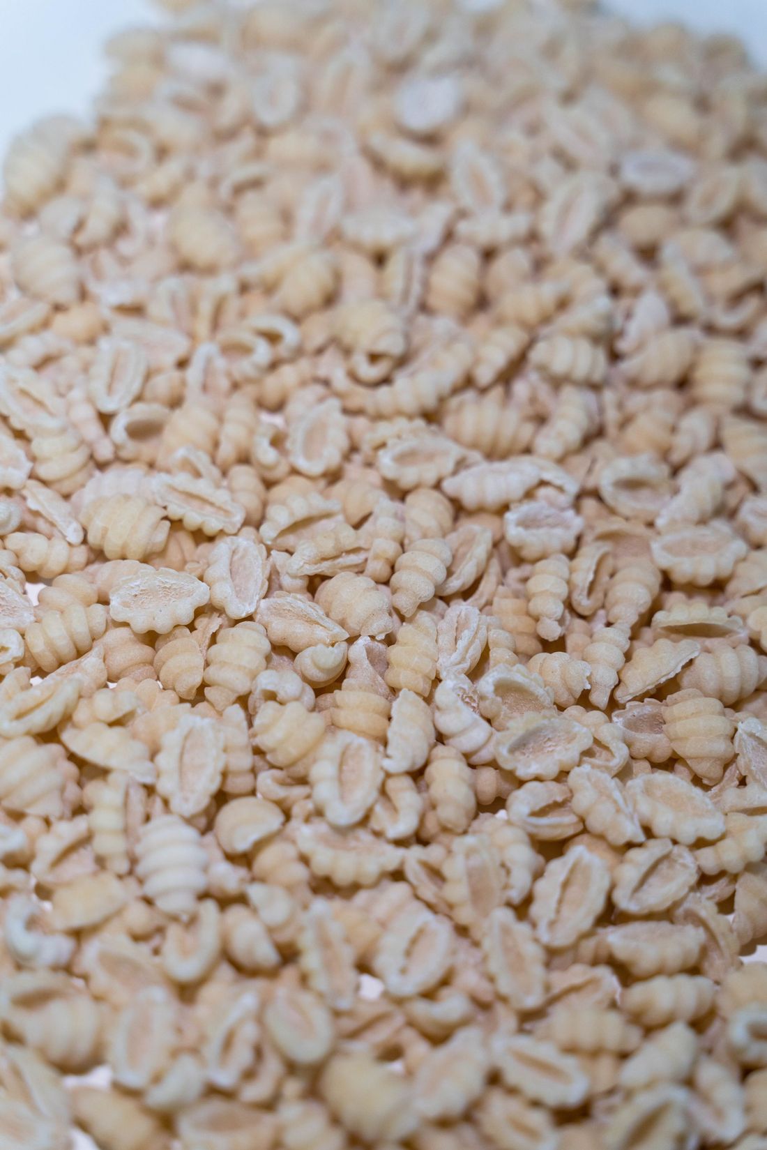 sardinian gnocco