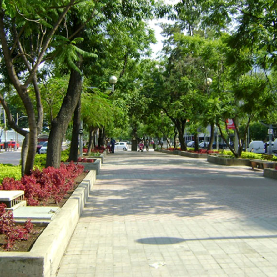Paseo arbolado por el parque con bancos, arbustos rojos y un sendero pavimentado a la luz del día.