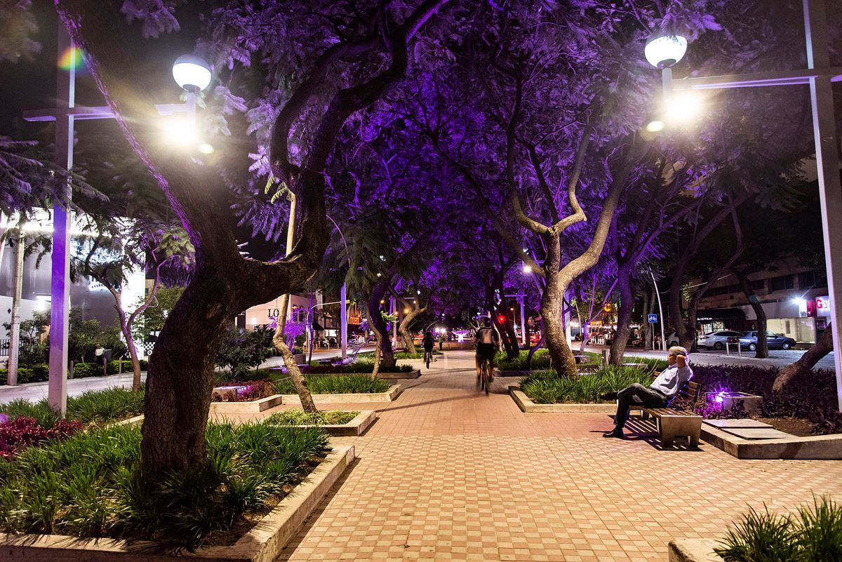 Paseo arbolado por el parque de noche, iluminado por farolas, con árboles iluminados de color púrpura y bancos a lo largo del camino.