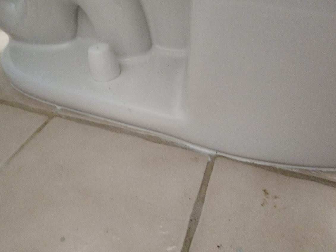A close up of a toilet on a tiled floor.