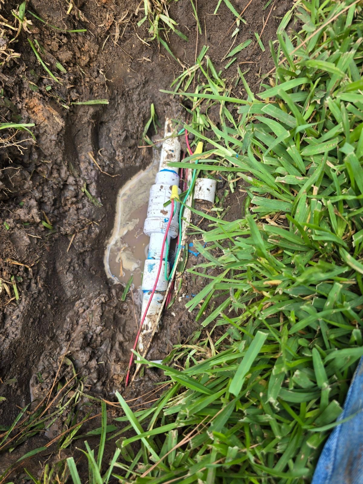 A hose is laying on the ground in the grass.