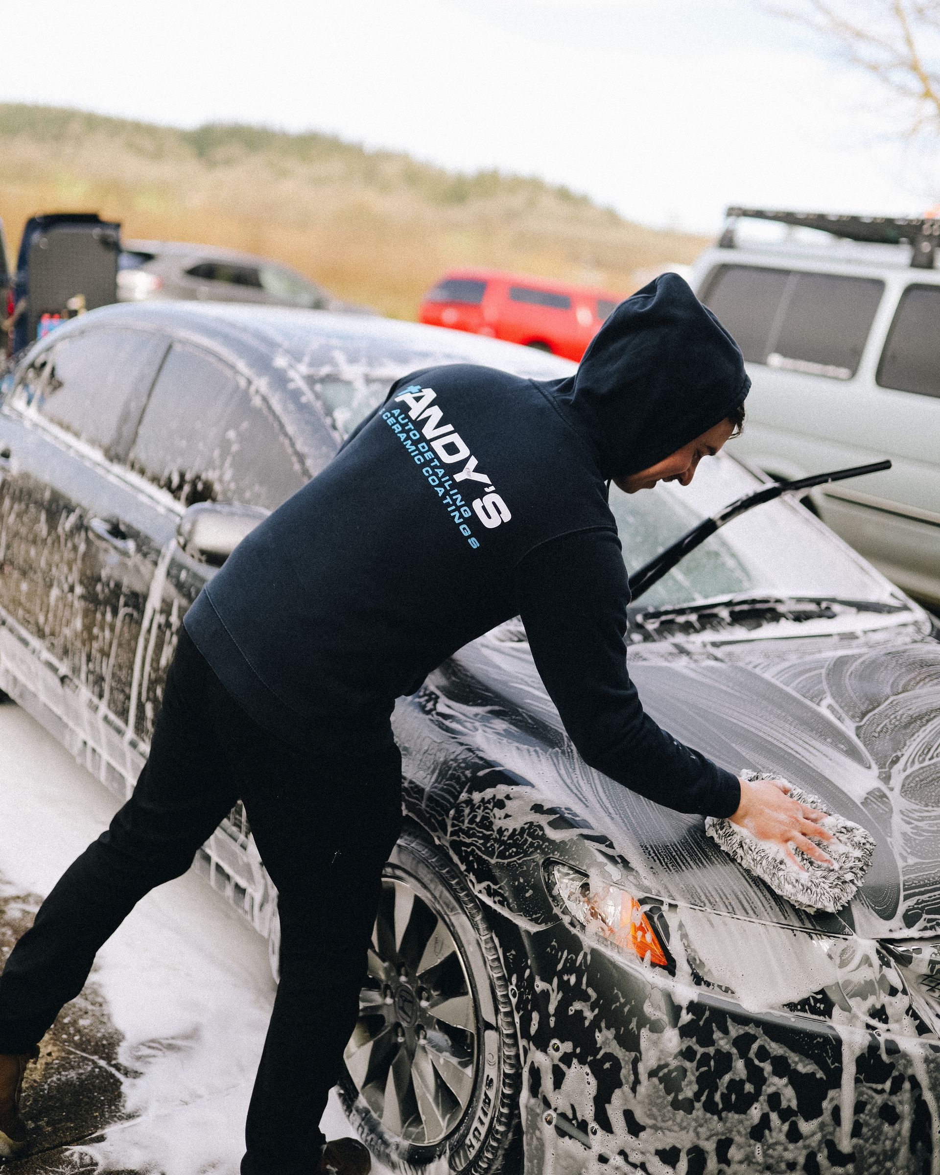 Window Tint