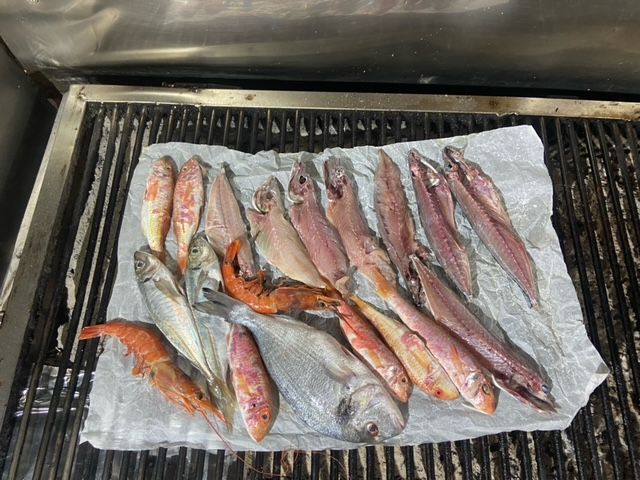 pesce