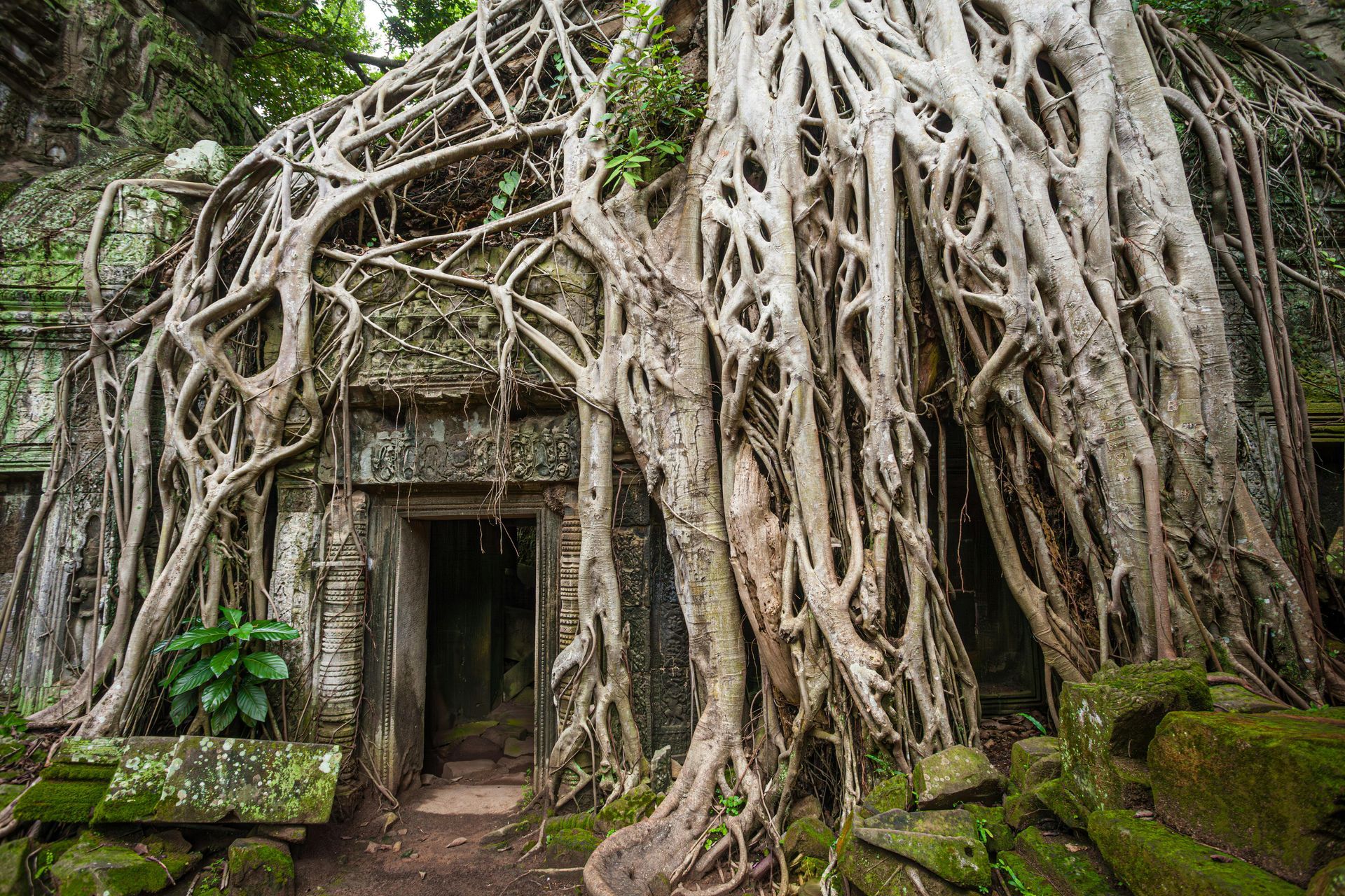 Tomb Raider Angkor Wat Temple ruins 