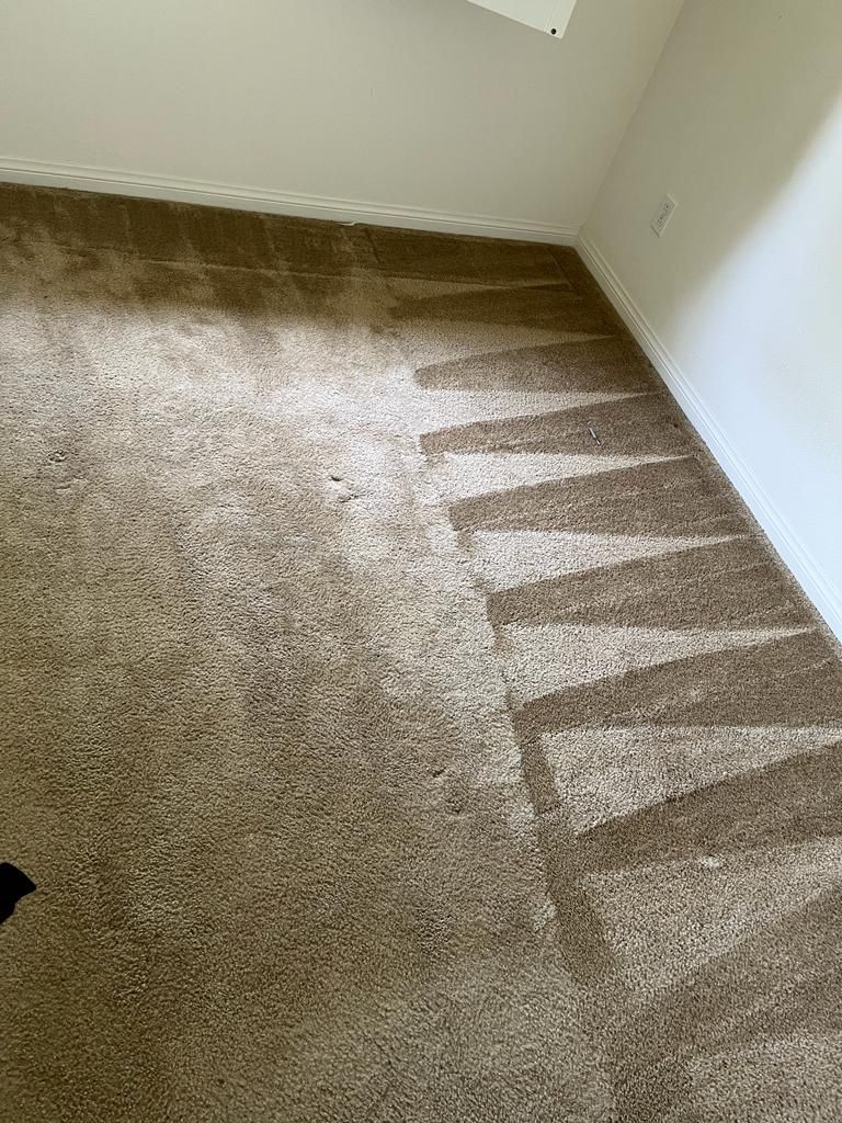 Image of an empty room with a gray carpet that has recently been cleaned