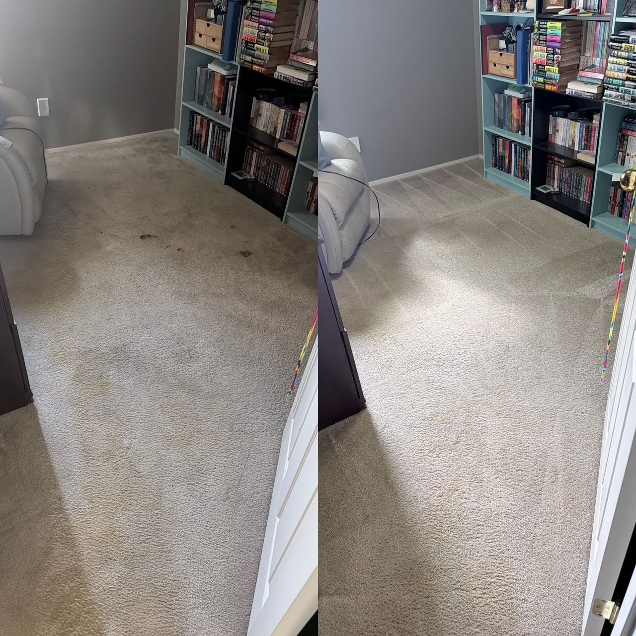 Before-and-after comparison showing a carpeted room cleaned of dark stains and dirt.