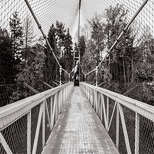 Black and white photo of a suspension bridge walkway surrounded by a metal fence, in a forest setting.