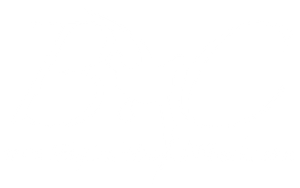 Blank white screen