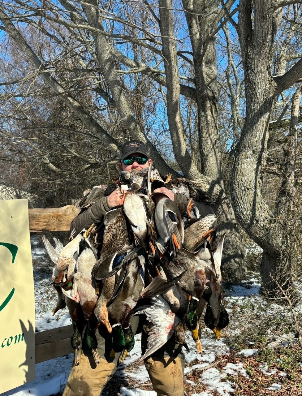 Hunter holding a large pile of ducks in a snowy wooded area