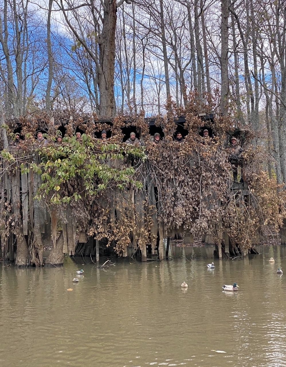 People peeking over a vine-covered riverbank above calm water, with bare trees in the background.
