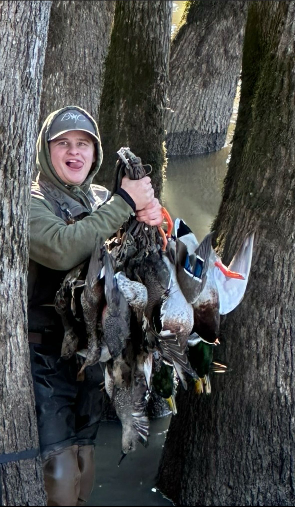 Hunter in waders and hood holds a large bunch of ducks beside tree trunks in a marshy area.