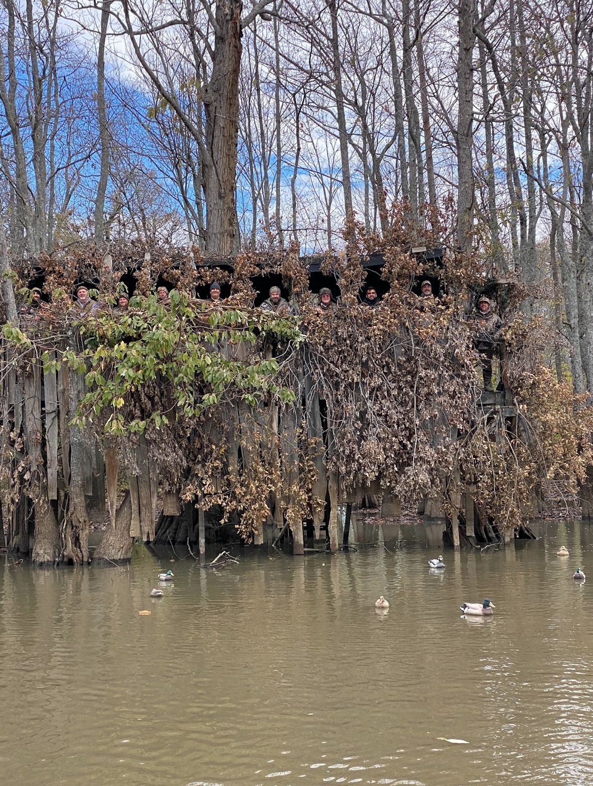 A tree-covered structure by a murky river, with leafless trees and a blue sky in the background.
