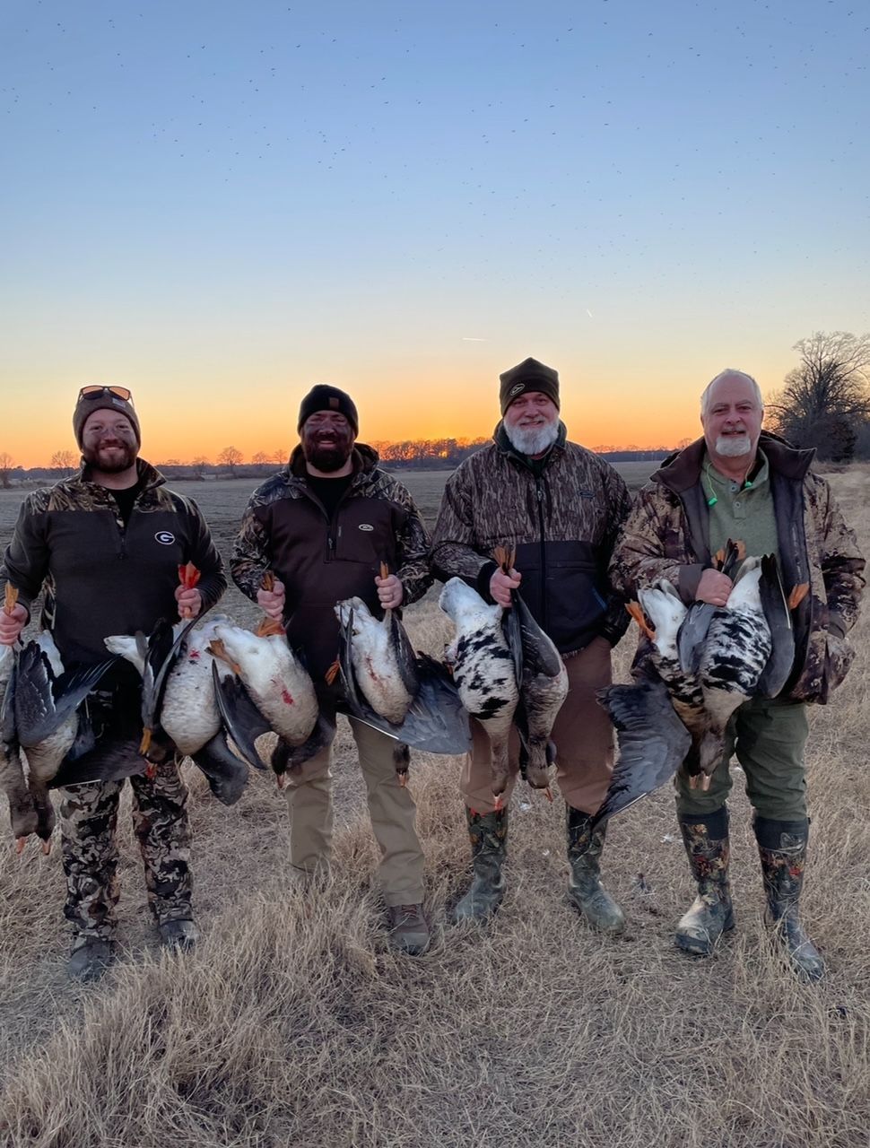 Four hunters standing in a field at sunset, each holding several ducks and wearing outdoor gear.