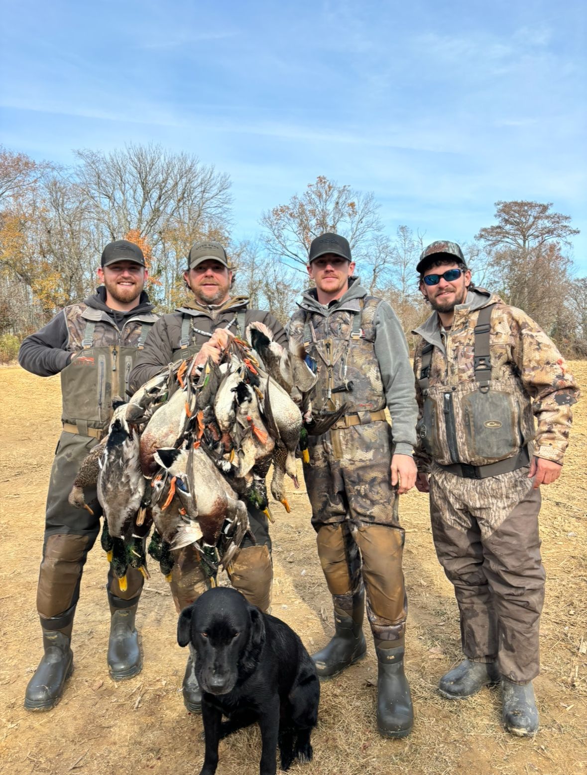 Four hunters posing with a large pile of ducks; a black dog sits in front in a grassy field.