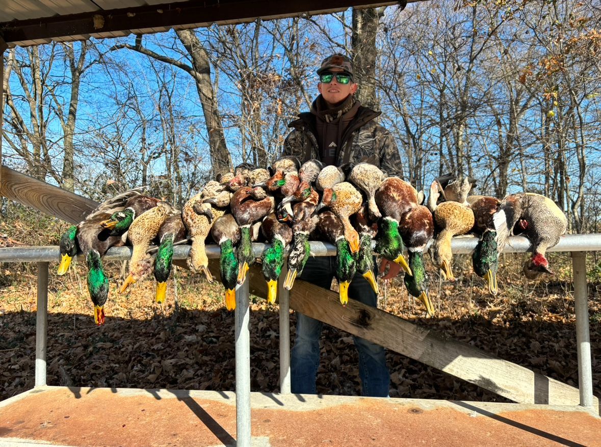 Hunter standing behind a row of hanging ducks outdoors under a wooden shelter