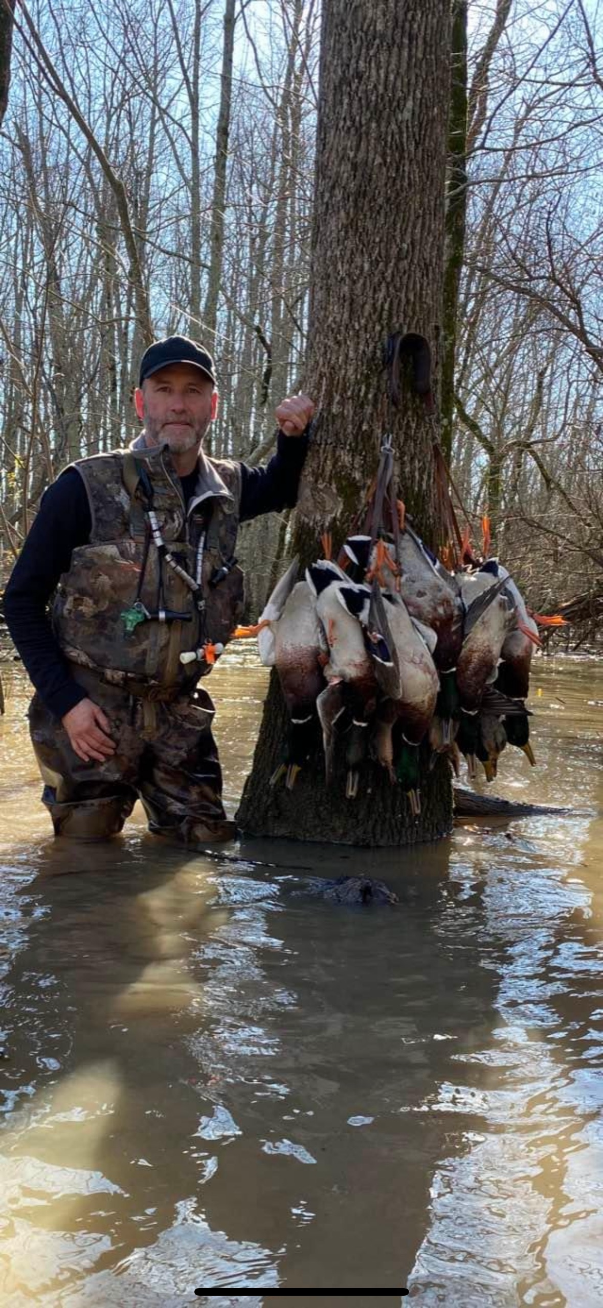 Person standing in shallow water holding several dead ducks by a tree in a marshy woods area