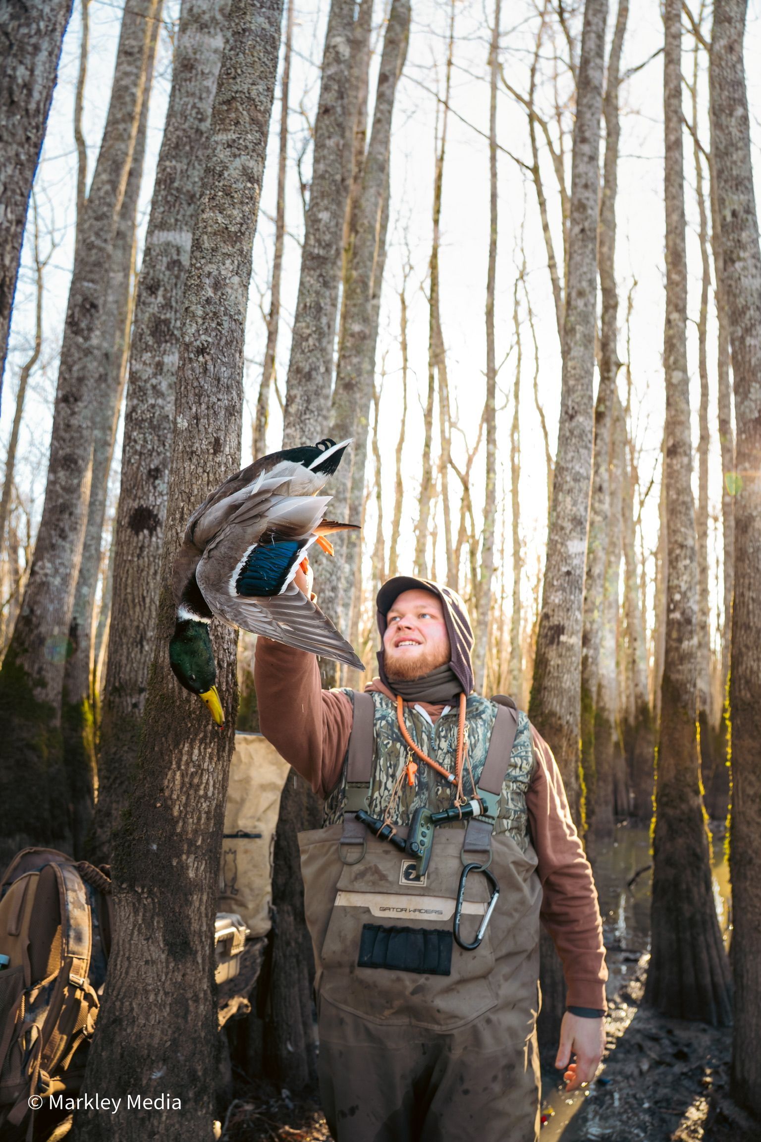 Person in waders holding up a fish in a swampy forest beside tall trees