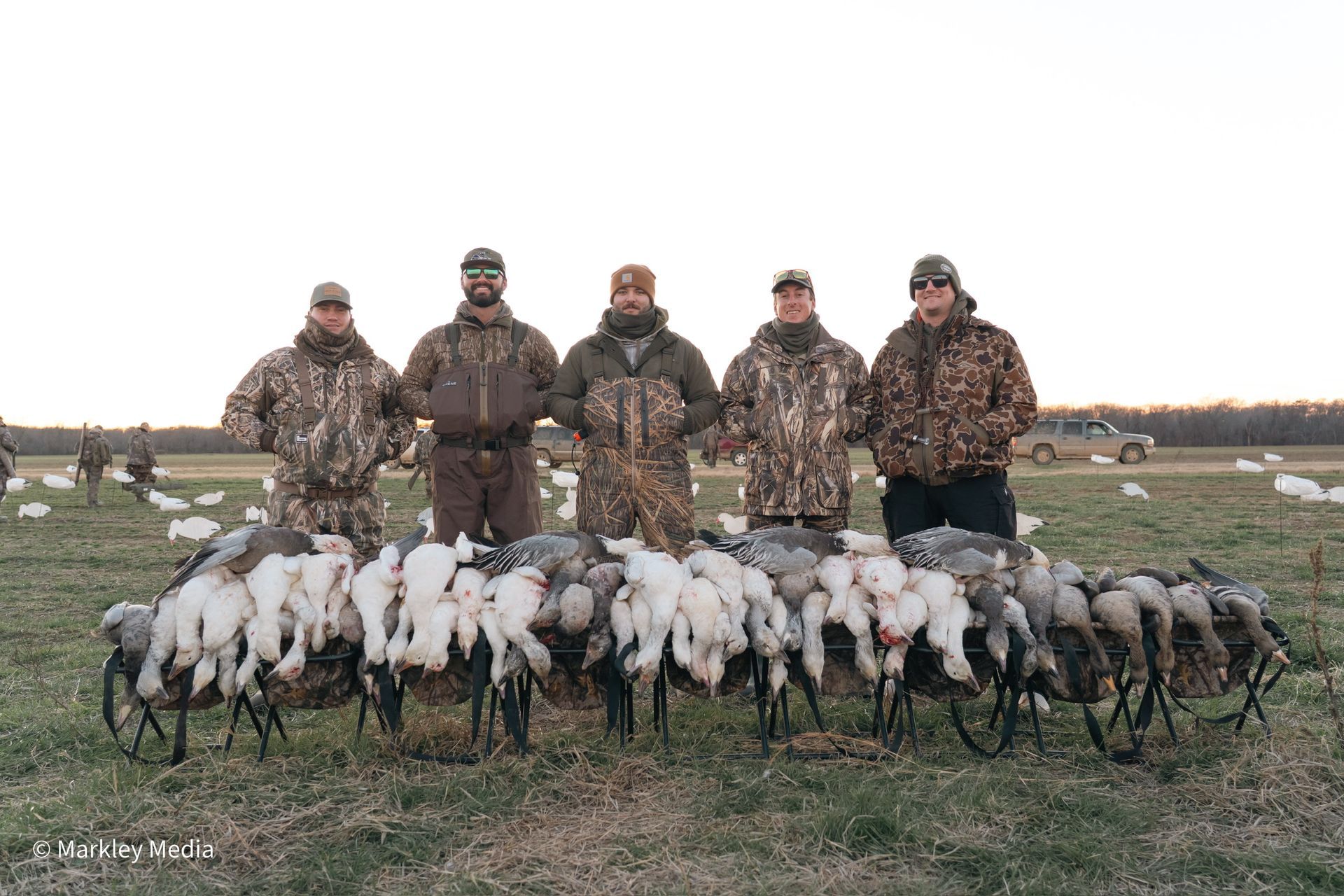 Five hunters in camouflage stand behind a large flock of white and black birds in a field at dusk