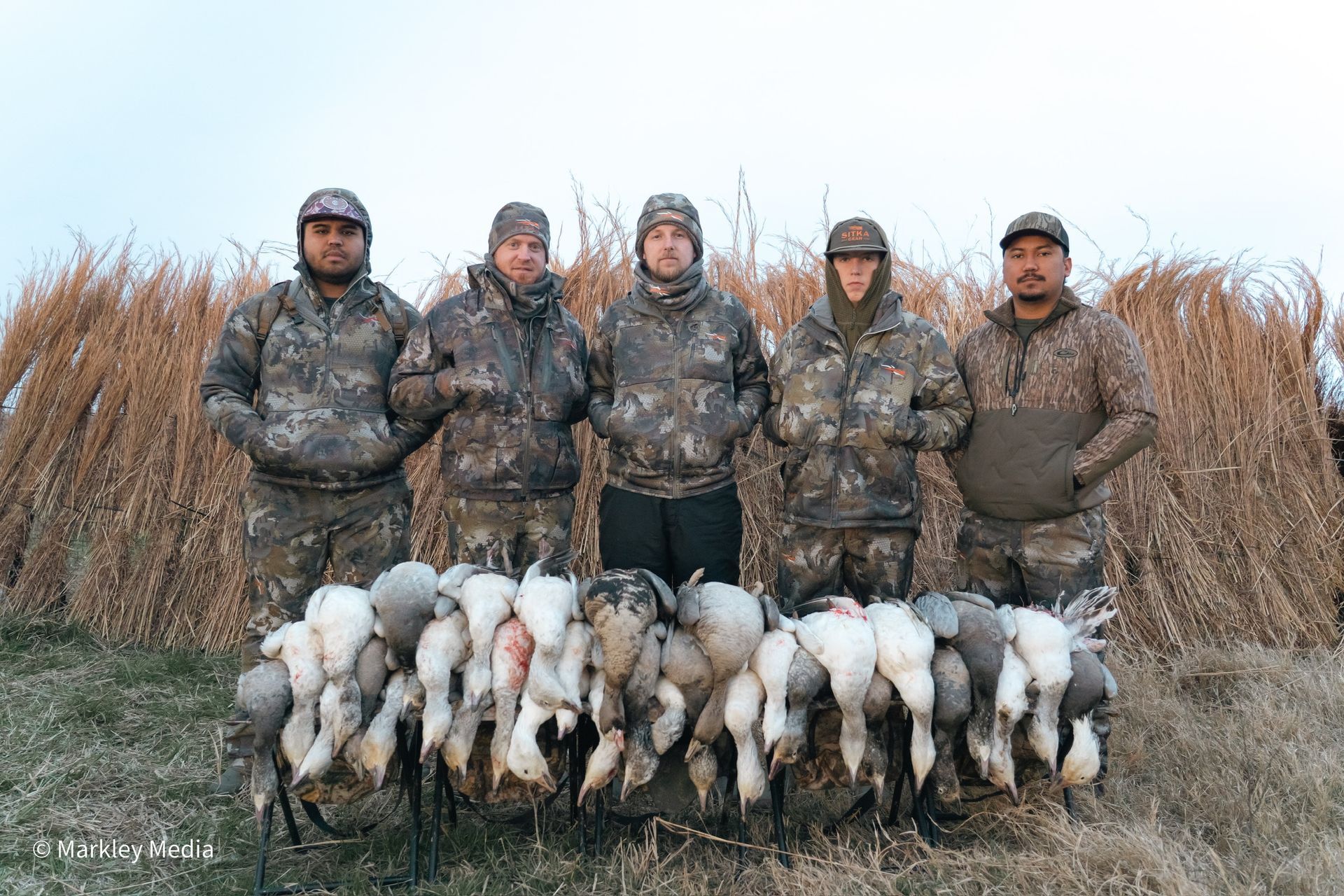 Five hunters in camouflage stand behind a row of hunted geese in a field at dawn.