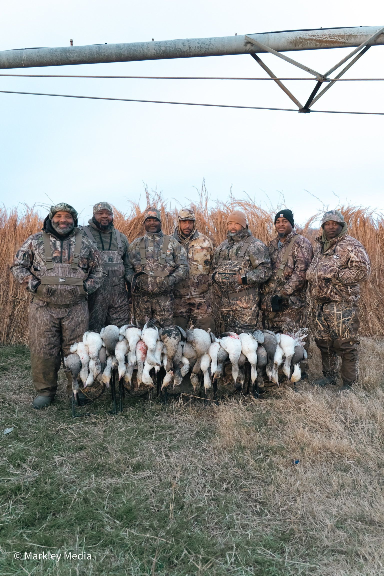 Hunters in camouflage pose with a row of white ducks in a grassy field at dusk