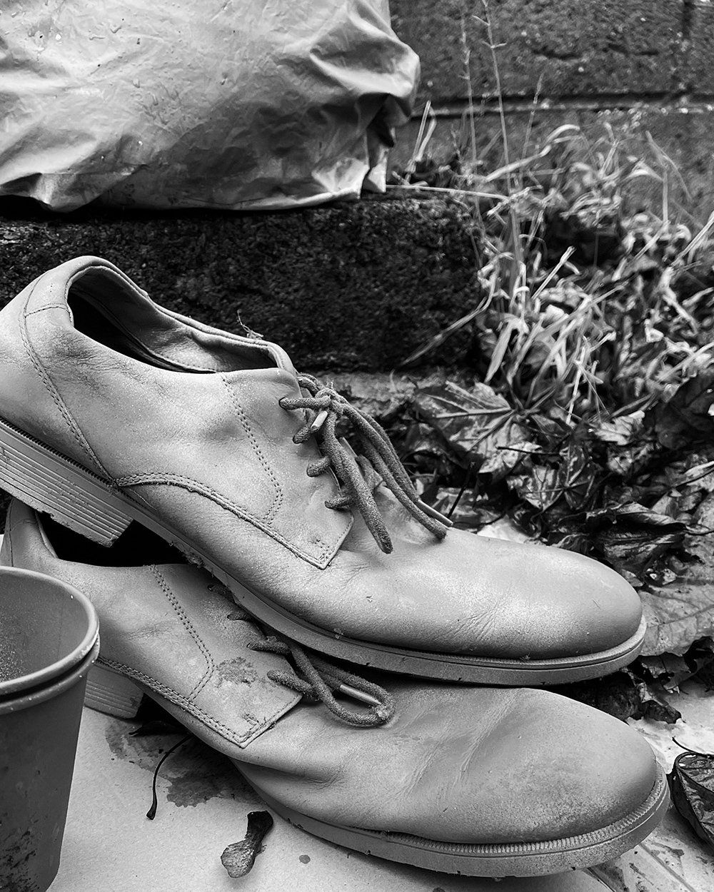 Black-and-white close-up photograph of a worn pair of lace-up shoes placed on cardboard beside a cup and leaves